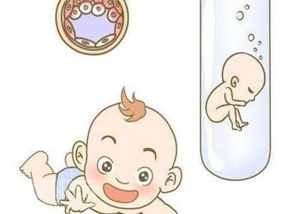 陈若晴 副院长
